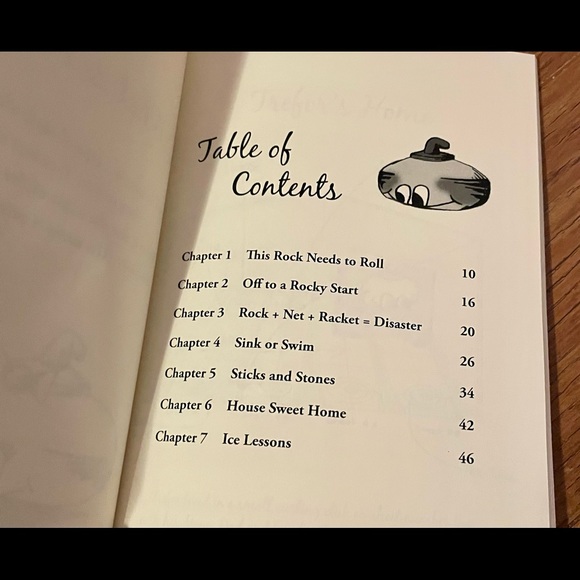 Curling Boom- The Adventures of Trefor the Curling Rock 🥌 Fictional Sports Book - Picture 5 of 5